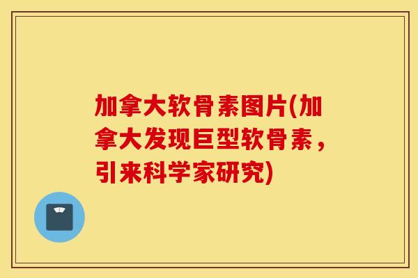 加拿大软骨素图片(加拿大发现巨型软骨素,引来科学家研究) 加拿大软骨素图片(加拿大发现巨型软骨素,引来科学家研究)