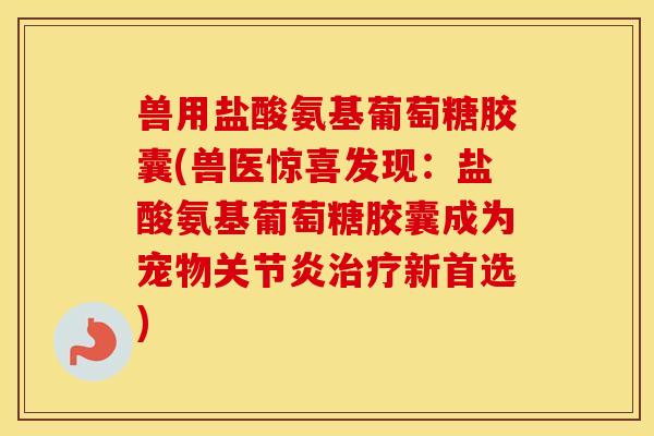 兽用盐酸氨基葡萄糖胶囊(兽医惊喜发现:盐酸氨基葡萄糖胶囊成为宠物新首选) 兽用盐酸氨基葡萄糖胶囊(兽医惊喜发现:盐酸氨基葡萄糖胶囊成为宠物新首选)