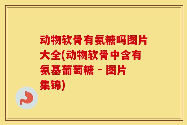 动物软骨有氨糖吗图片大全(动物软骨中含有氨基葡萄糖 - 图片集锦)