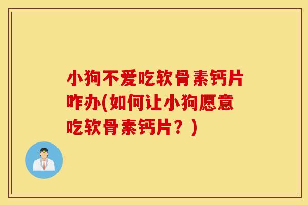 小狗不爱吃软骨素钙片咋办(如何让小狗愿意吃软骨素钙片？)