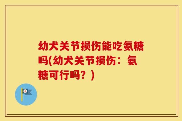 幼犬关节损伤能吃氨糖吗(幼犬关节损伤:氨糖可行吗?) 幼犬关节损伤能吃氨糖吗(幼犬关节损伤:氨糖可行吗?)
