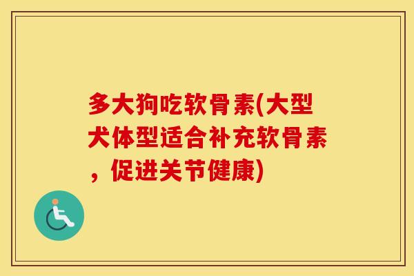 多大狗吃软骨素(大型犬体型适合补充软骨素,促进关节健康) 多大狗吃软骨素(大型犬体型适合补充软骨素,促进关节健康)