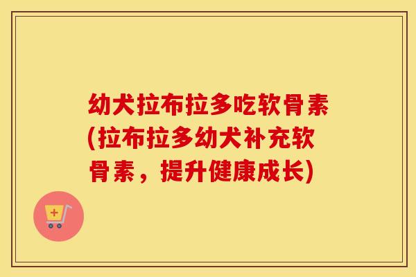 幼犬拉布拉多吃软骨素(拉布拉多幼犬补充软骨素,提升健康成长) 幼犬拉布拉多吃软骨素(拉布拉多幼犬补充软骨素,提升健康成长)