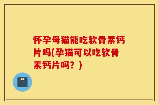 怀孕母猫能吃软骨素钙片吗(孕猫可以吃软骨素钙片吗?) 怀孕母猫能吃软骨素钙片吗(孕猫可以吃软骨素钙片吗?)