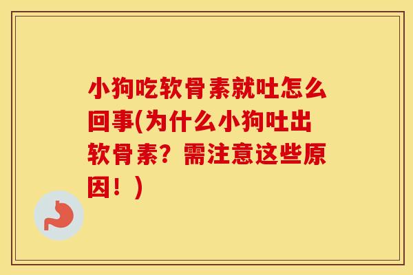 小狗吃软骨素就吐怎么回事(为什么小狗吐出软骨素？需注意这些原因！)
