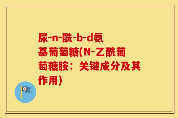 尿-n-酰-b-d氨基葡萄糖(N-乙酰葡萄糖胺:关键成分及其作用) 尿-n-酰-b-d氨基葡萄糖(N-乙酰葡萄糖胺:关键成分及其作用)