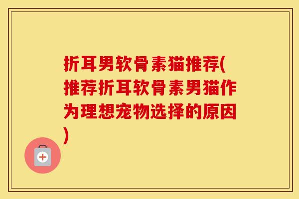 折耳男软骨素猫推荐(推荐折耳软骨素男猫作为理想宠物选择的原因)