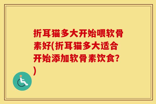 折耳猫多大开始喂软骨素好(折耳猫多大适合开始添加软骨素饮食?) 折耳猫多大开始喂软骨素好(折耳猫多大适合开始添加软骨素饮食?)