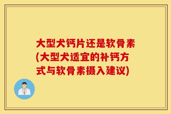 大型犬钙片还是软骨素(大型犬适宜的补钙方式与软骨素摄入建议) 大型犬钙片还是软骨素(大型犬适宜的补钙方式与软骨素摄入建议)
