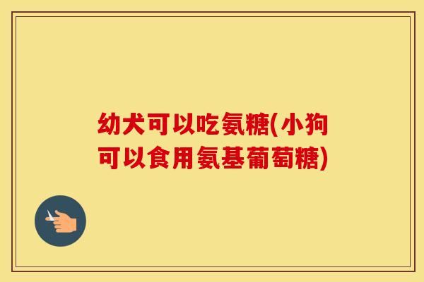幼犬可以吃氨糖(小狗可以食用氨基葡萄糖)
