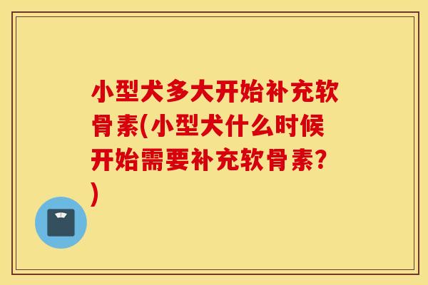 小型犬多大开始补充软骨素(小型犬什么时候开始需要补充软骨素?) 小型犬多大开始补充软骨素(小型犬什么时候开始需要补充软骨素?)