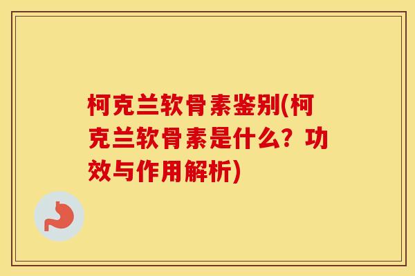 柯克兰软骨素鉴别(柯克兰软骨素是什么?功效与作用解析) 柯克兰软骨素鉴别(柯克兰软骨素是什么?功效与作用解析)