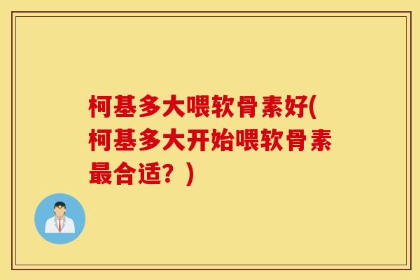 柯基多大喂软骨素好(柯基多大开始喂软骨素合适?) 柯基多大喂软骨素好(柯基多大开始喂软骨素合适?)