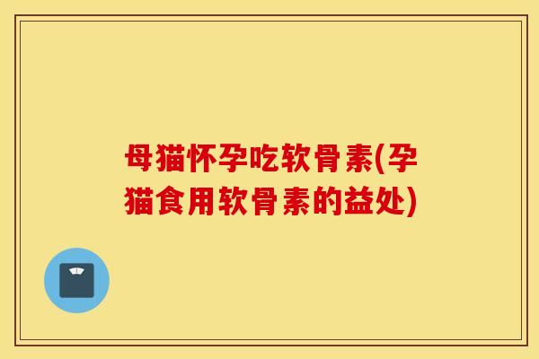 母猫怀孕吃软骨素(孕猫食用软骨素的益处) 母猫怀孕吃软骨素(孕猫食用软骨素的益处)