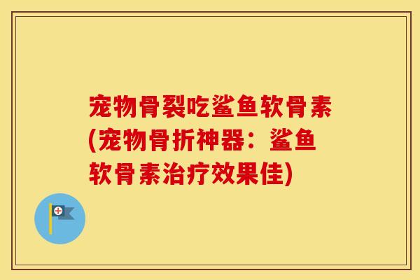 宠物骨裂吃鲨鱼软骨素(宠物神器:鲨鱼软骨素效果佳) 宠物骨裂吃鲨鱼软骨素(宠物神器:鲨鱼软骨素效果佳)
