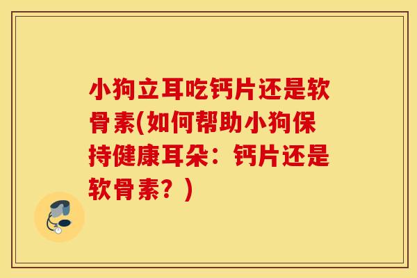 小狗立耳吃钙片还是软骨素(如何帮助小狗保持健康耳朵：钙片还是软骨素？)