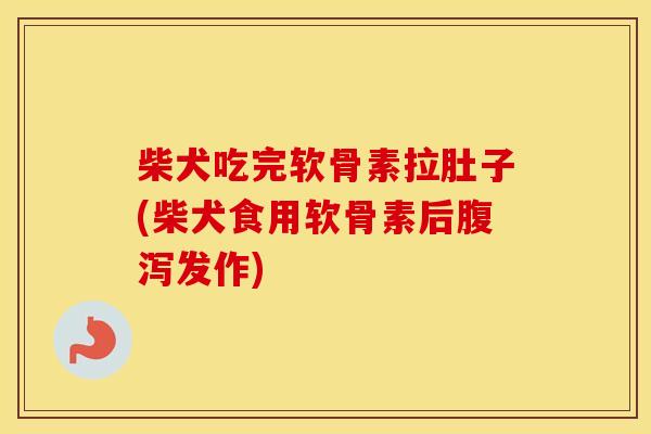 柴犬吃完软骨素拉肚子(柴犬食用软骨素后发作) 柴犬吃完软骨素拉肚子(柴犬食用软骨素后发作)