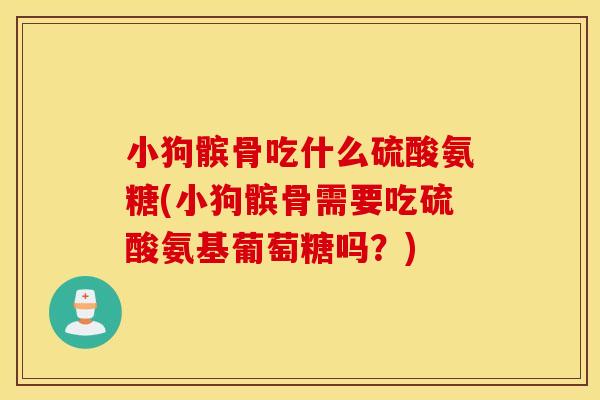 小狗髌骨吃什么硫酸氨糖(小狗髌骨需要吃硫酸氨基葡萄糖吗？)