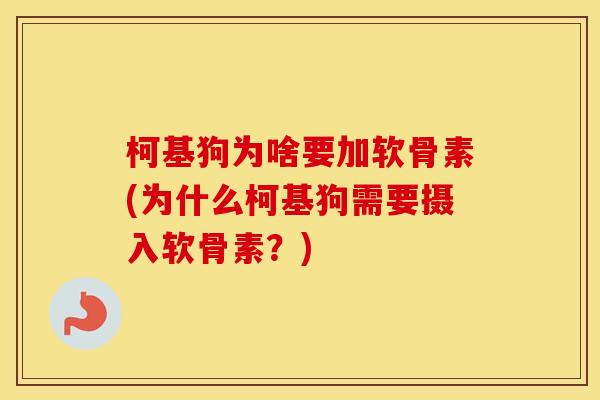 柯基狗为啥要加软骨素(为什么柯基狗需要摄入软骨素?) 柯基狗为啥要加软骨素(为什么柯基狗需要摄入软骨素?)
