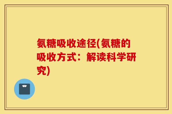 氨糖吸收途径(氨糖的吸收方式:解读科学研究) 氨糖吸收途径(氨糖的吸收方式:解读科学研究)