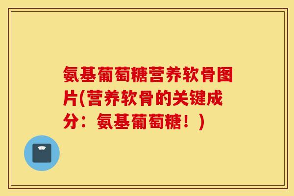 氨基葡萄糖营养软骨图片(营养软骨的关键成分:氨基葡萄糖!) 氨基葡萄糖营养软骨图片(营养软骨的关键成分:氨基葡萄糖!)