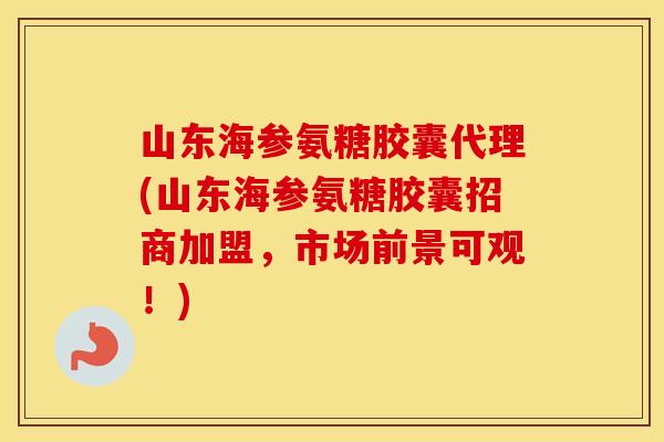 山东海参氨糖胶囊代理(山东海参氨糖胶囊招商加盟，市场前景可观！)