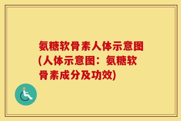 氨糖软骨素人体示意图(人体示意图：氨糖软骨素成分及功效)