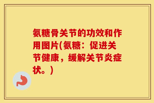 氨糖骨关节的功效和作用图片(氨糖:促进关节健康,缓解关节状。) 氨糖骨关节的功效和作用图片(氨糖:促进关节健康,缓解关节状。)