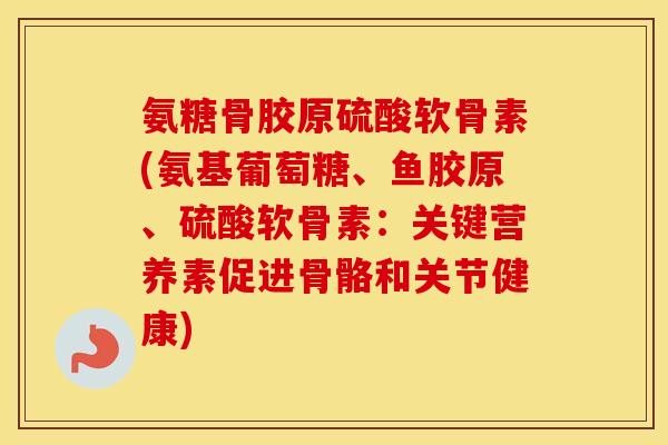 氨糖骨胶原硫酸软骨素(氨基葡萄糖、鱼胶原、硫酸软骨素:关键营养素促进骨骼和关节健康) 氨糖骨胶原硫酸软骨素(氨基葡萄糖、鱼胶原、硫酸软骨素:关键营养素促进骨骼和关节健康)