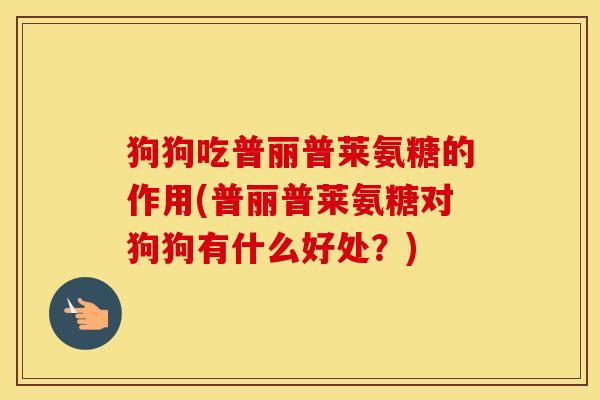 狗狗吃普丽普莱氨糖的作用(普丽普莱氨糖对狗狗有什么好处？)