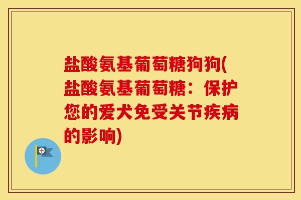 盐酸氨基葡萄糖狗狗(盐酸氨基葡萄糖:保护您的爱犬免受关节的影响) 盐酸氨基葡萄糖狗狗(盐酸氨基葡萄糖:保护您的爱犬免受关节的影响)