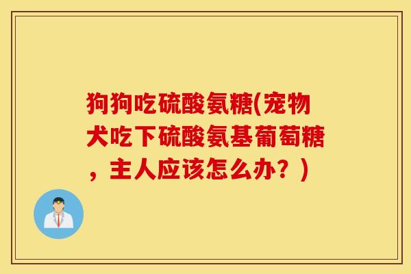 狗狗吃硫酸氨糖(宠物犬吃下硫酸氨基葡萄糖，主人应该怎么办？)