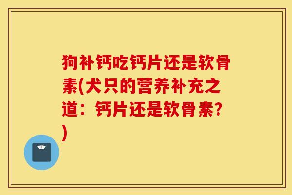 狗补钙吃钙片还是软骨素(犬只的营养补充之道：钙片还是软骨素？)