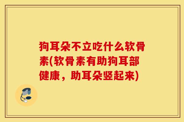 狗耳朵不立吃什么软骨素(软骨素有助狗耳部健康,助耳朵竖起来) 狗耳朵不立吃什么软骨素(软骨素有助狗耳部健康,助耳朵竖起来)