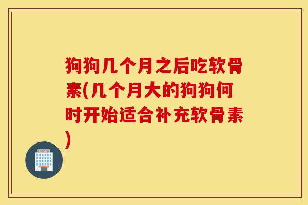 狗狗几个月之后吃软骨素(几个月大的狗狗何时开始适合补充软骨素) 狗狗几个月之后吃软骨素(几个月大的狗狗何时开始适合补充软骨素)