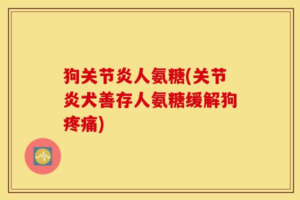 狗人氨糖(犬善存人氨糖缓解狗) 狗人氨糖(犬善存人氨糖缓解狗)
