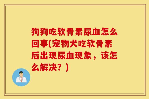 狗狗吃软骨素尿怎么回事(宠物犬吃软骨素后出现尿现象,该怎么解决?) 狗狗吃软骨素尿怎么回事(宠物犬吃软骨素后出现尿现象,该怎么解决?)