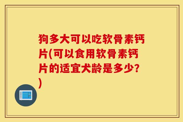 狗多大可以吃软骨素钙片(可以食用软骨素钙片的适宜犬龄是多少？)