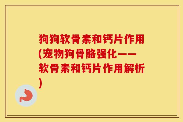 狗狗软骨素和钙片作用(宠物狗骨骼强化——软骨素和钙片作用解析)