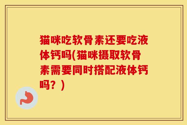 猫咪吃软骨素还要吃液体钙吗(猫咪摄取软骨素需要同时搭配液体钙吗？)