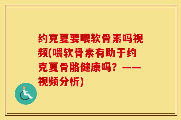 约克夏要喂软骨素吗视频(喂软骨素有助于约克夏骨骼健康吗?——视频分析) 约克夏要喂软骨素吗视频(喂软骨素有助于约克夏骨骼健康吗?——视频分析)