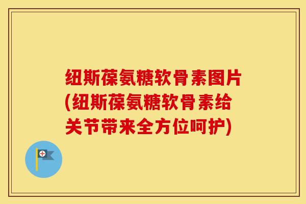 纽斯葆氨糖软骨素图片(纽斯葆氨糖软骨素给关节带来全方位呵护) 纽斯葆氨糖软骨素图片(纽斯葆氨糖软骨素给关节带来全方位呵护)