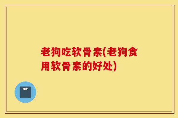 老狗吃软骨素(老狗食用软骨素的好处)