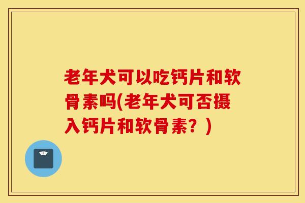 老年犬可以吃钙片和软骨素吗(老年犬可否摄入钙片和软骨素?) 老年犬可以吃钙片和软骨素吗(老年犬可否摄入钙片和软骨素?)
