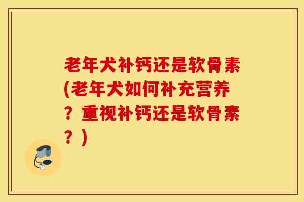 老年犬补钙还是软骨素(老年犬如何补充营养？重视补钙还是软骨素？)