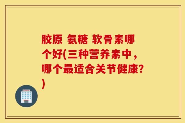 胶原 氨糖 软骨素哪个好(三种营养素中,哪个适合关节健康?) 胶原 氨糖 软骨素哪个好(三种营养素中,哪个适合关节健康?)
