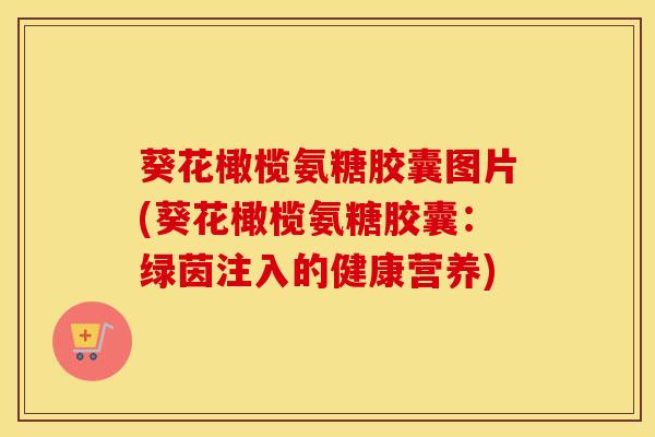 葵花橄榄氨糖胶囊图片(葵花橄榄氨糖胶囊：绿茵注入的健康营养)