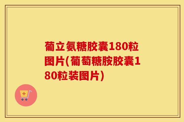 葡立氨糖胶囊180粒图片(葡萄糖胺胶囊180粒装图片)