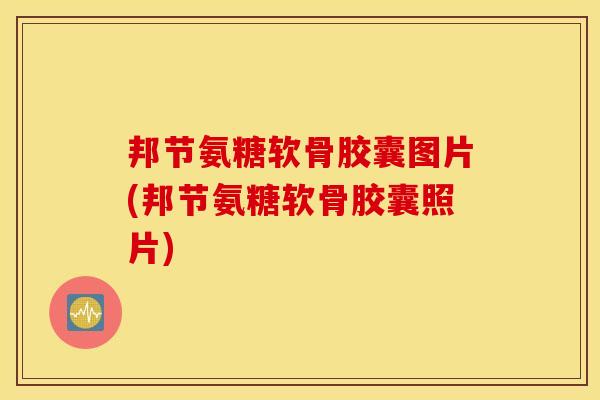 邦节氨糖软骨胶囊图片(邦节氨糖软骨胶囊照片)