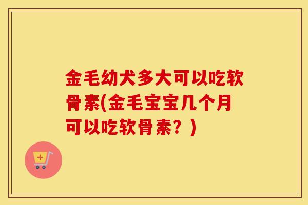 金毛幼犬多大可以吃软骨素(金毛宝宝几个月可以吃软骨素?) 金毛幼犬多大可以吃软骨素(金毛宝宝几个月可以吃软骨素?)